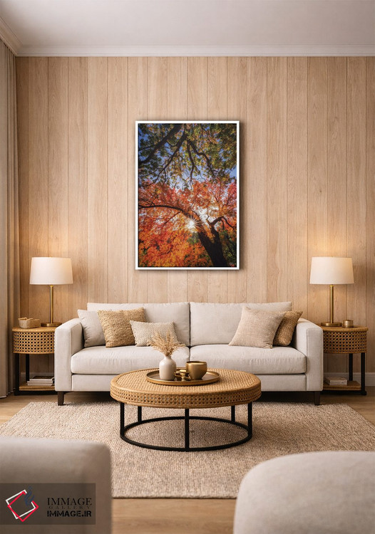 تابلو دکوراتیو رسیدن به ستارگان اثر پیتر کسکن - D1W