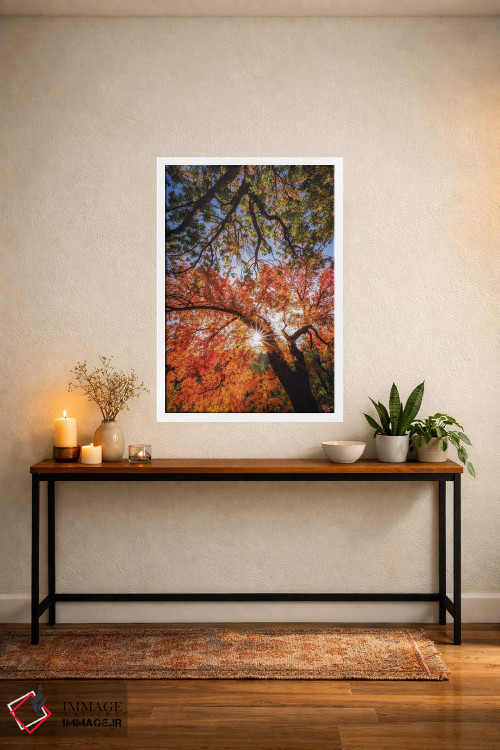 تابلو دکوراتیو رسیدن به ستارگان اثر پیتر کسکن - D2W