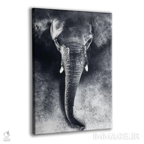 تابلو دکوراتیو فیل سیاه و سفید اثر ریزا پکر - نمای پرسپکتیو محصول