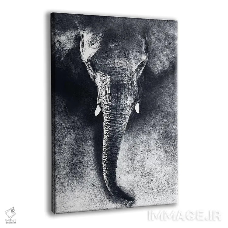 تابلو دکوراتیو فیل سیاه و سفید اثر ریزا پکر - نمای پرسپکتیو محصول