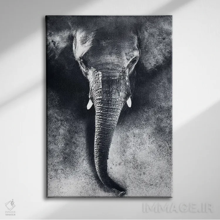تابلو دکوراتیو فیل سیاه و سفید اثر ریزا پکر - نمای روبهرو روی دیوار