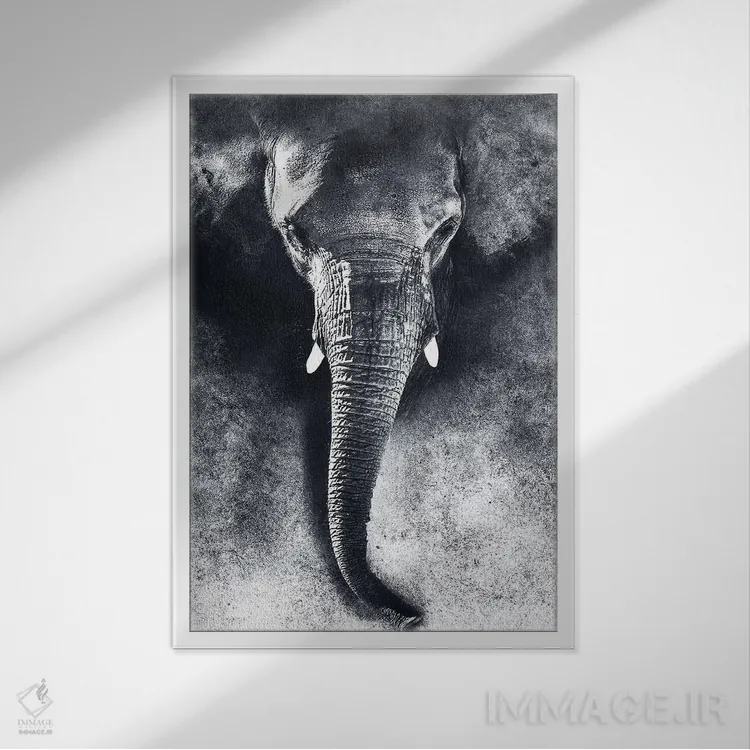 تابلو دکوراتیو فیل سیاه و سفید اثر ریزا پکر - نمای قابدار سفید