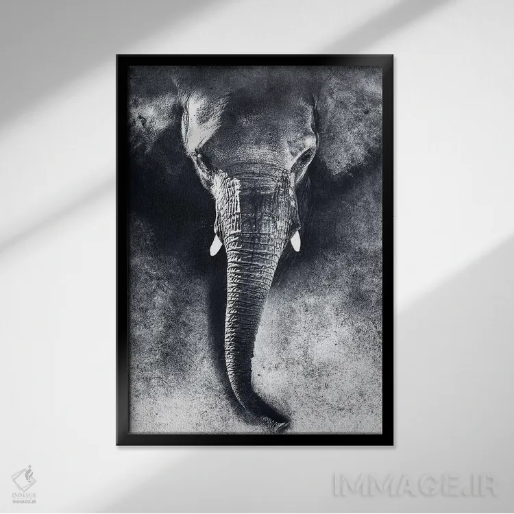 تابلو دکوراتیو فیل سیاه و سفید اثر ریزا پکر - نمای قابدار مشکی