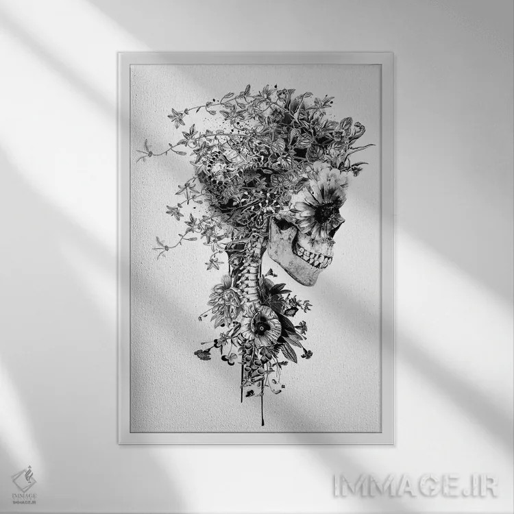 تابلو دکوراتیو جمجمه سیاه و سفید اثر ریزا پکر - نمای قابدار سفید