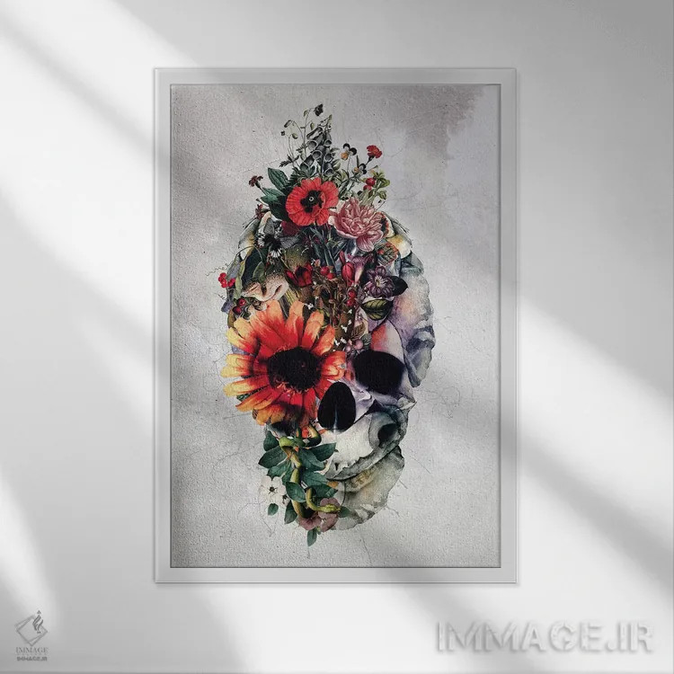تابلو دکوراتیو جمجمه دو چهره اثر ریزا پکر - نمای قابدار سفید