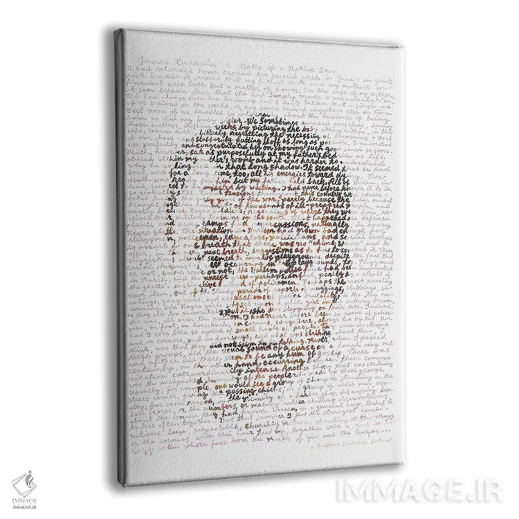 تابلو دکوراتیو جیمز بالدوین اثر پروفسور فولس کپ - نمای پرسپکتیو محصول