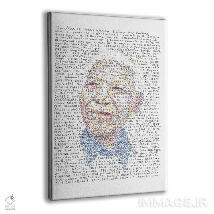 تابلو دکوراتیو نلسون ماندلا اثر پروفسور فولس کپ - نمای پرسپکتیو محصول