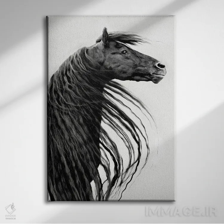 تابلو دکوراتیو پرتره اسب سیاه و سفید II اثر پی اچ برچت - نمای روبهرو روی دیوار