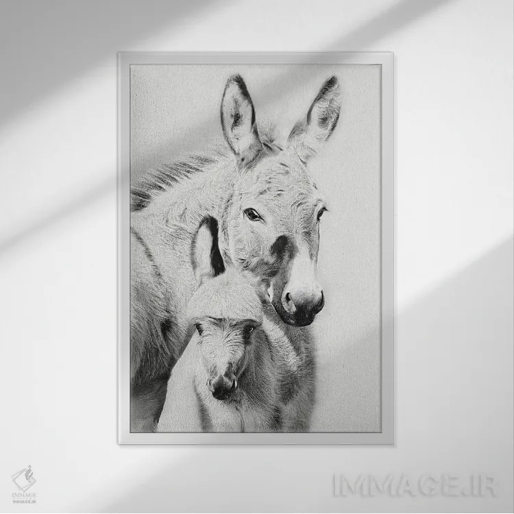 تابلو دکوراتیو پرتره الاغ V اثر پی اچ برچت - نمای قابدار سفید