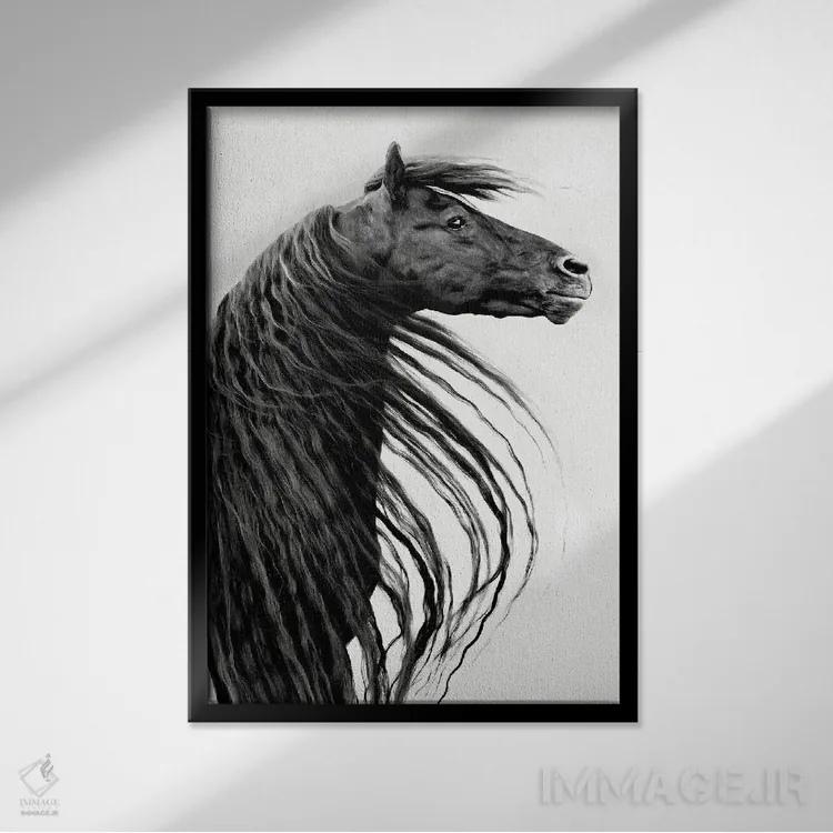 تابلو دکوراتیو پرتره اسب سیاه و سفید II اثر پی اچ برچت - نمای قابدار مشکی