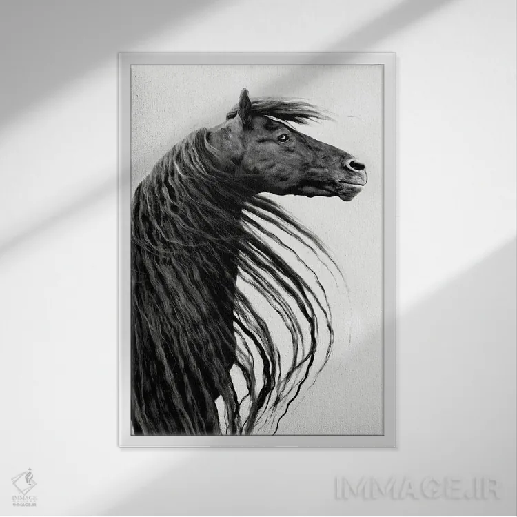 تابلو دکوراتیو پرتره اسب سیاه و سفید II اثر پی اچ برچت - نمای قابدار سفید