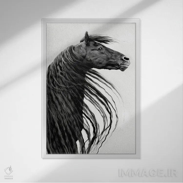 تابلو دکوراتیو پرتره اسب سیاه و سفید II اثر پی اچ برچت - نمای قابدار سفید