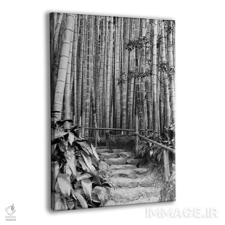 تابلو دکوراتیو بین بامبوها اثر فیلیپ هوگونار - نمای پرسپکتیو محصول