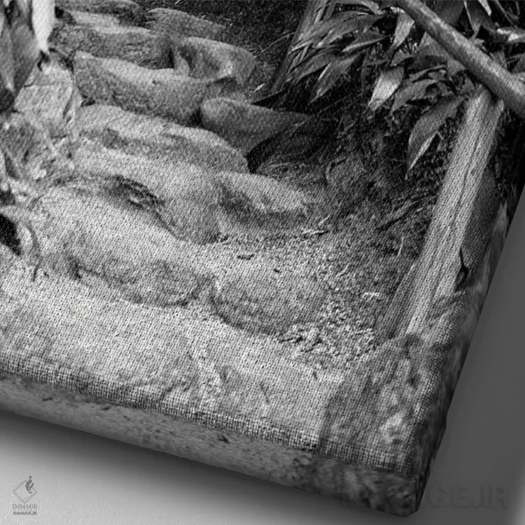 تابلو دکوراتیو بین بامبوها اثر فیلیپ هوگونار - نمای نزدیک بافت بوم