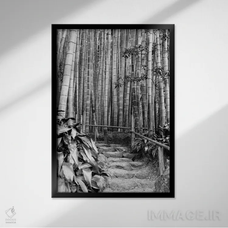 تابلو دکوراتیو بین بامبوها اثر فیلیپ هوگونار - نمای قابدار مشکی