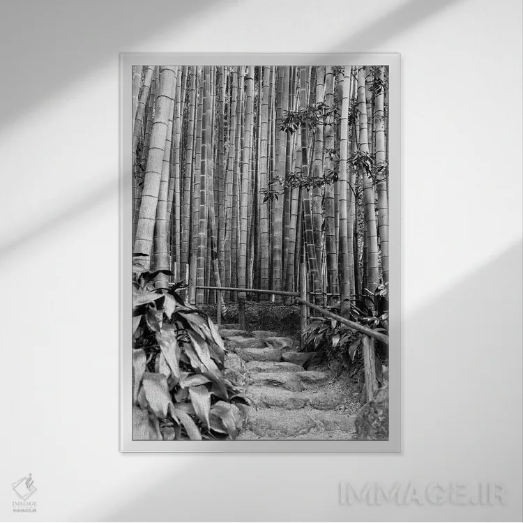 تابلو دکوراتیو بین بامبوها اثر فیلیپ هوگونار - نمای قابدار سفید