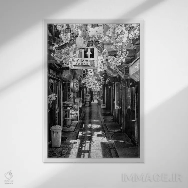 تابلو دکوراتیو اومویده یوکوتو توکیو اثر فیلیپ هوگونار - نمای قابدار سفید