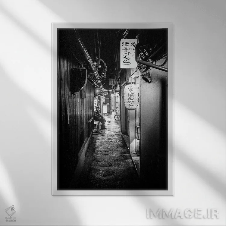 تابلو دکوراتیو تنها اثر فیلیپ هوگونار - نمای قابدار سفید