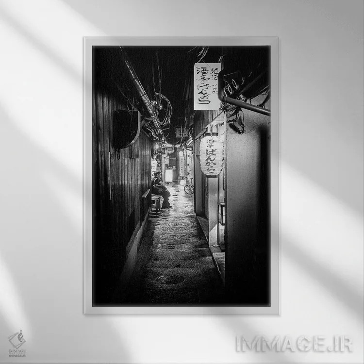 تابلو دکوراتیو تنها اثر فیلیپ هوگونار - نمای قابدار سفید