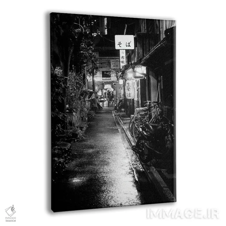 تابلو دکوراتیو پارکینگ دوچرخه اثر فیلیپ هوگونار - نمای پرسپکتیو محصول