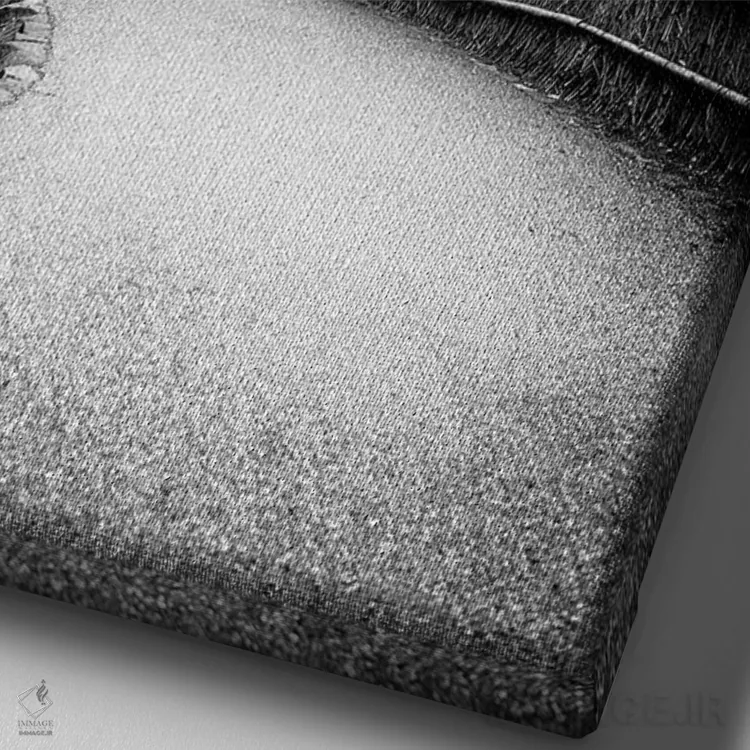 تابلو دکوراتیو مسیر به جنگل بامبو اثر فیلیپ هوگونار - نمای نزدیک بافت بوم