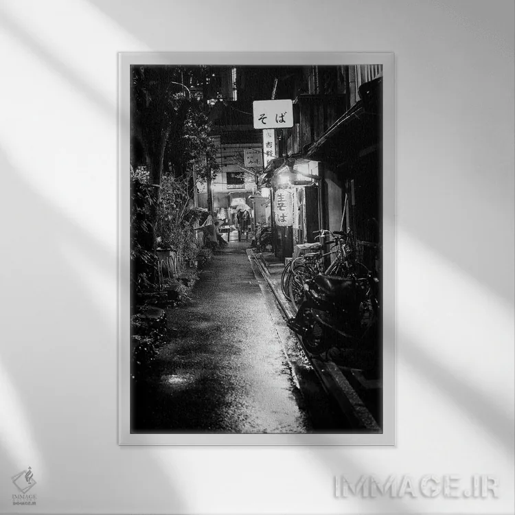 تابلو دکوراتیو پارکینگ دوچرخه اثر فیلیپ هوگونار - نمای قابدار سفید