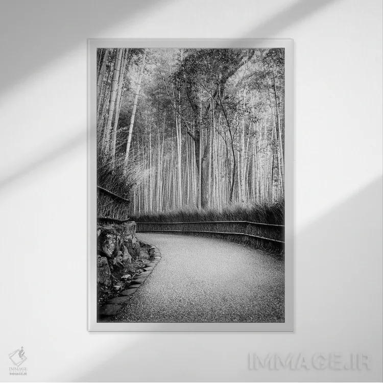 تابلو دکوراتیو مسیر به جنگل بامبو اثر فیلیپ هوگونار - نمای قابدار سفید