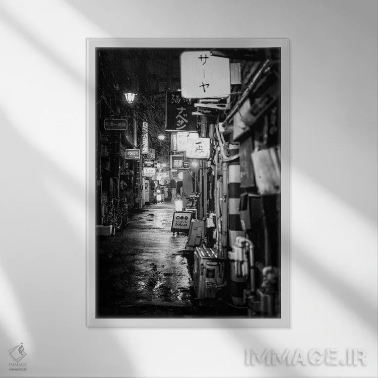 تابلو دکوراتیو گولدن گای شین جوکو اثر فیلیپ هوگونار - نمای قابدار سفید