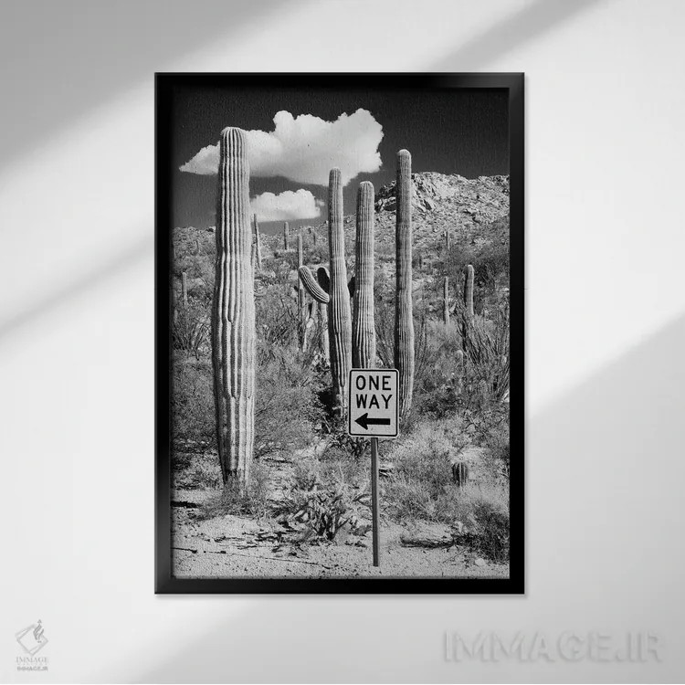 تابلو دکوراتیو "مجموعه سیاه آریزونا" اثر فیلیپ هوگونار - نمای قابدار مشکی
