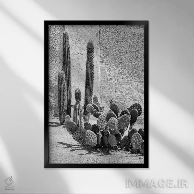 تابلو دکوراتیو "مجموعه سیاه آریزونا" اثر فیلیپ هوگونار - نمای قابدار مشکی