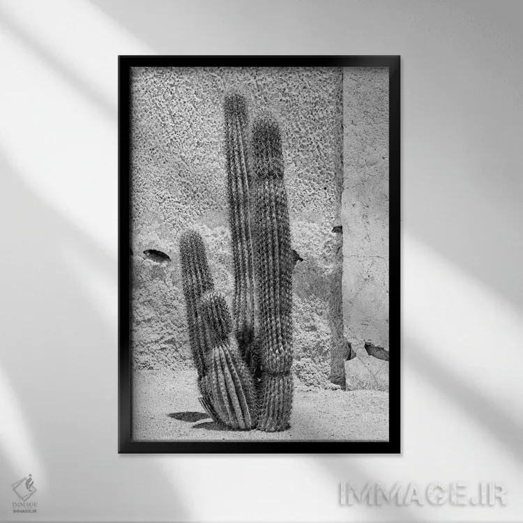 تابلو دکوراتیو "مجموعه سیاه آریزونا" اثر فیلیپ هوگونار - نمای قابدار مشکی
