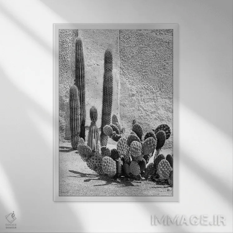 تابلو دکوراتیو "مجموعه سیاه آریزونا" اثر فیلیپ هوگونار - نمای قابدار سفید