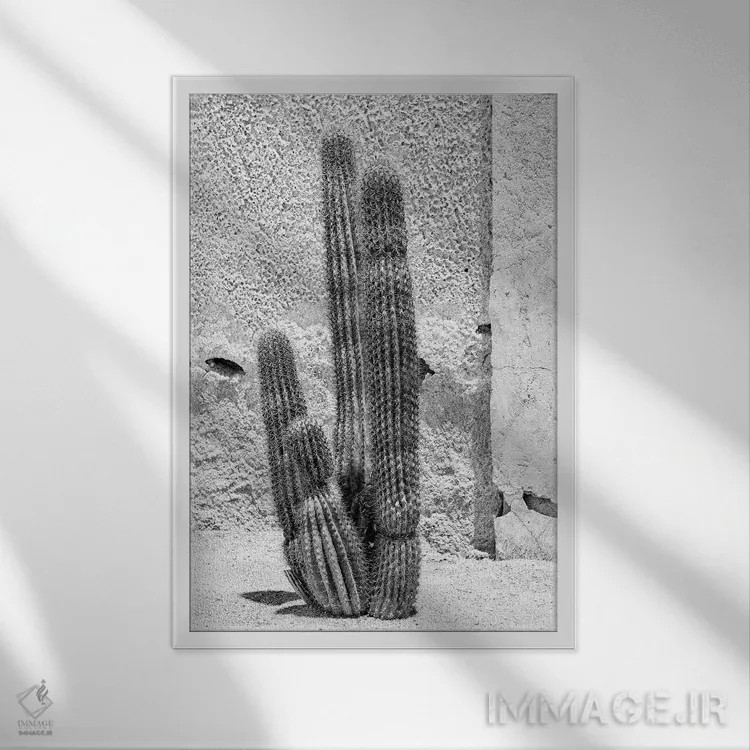 تابلو دکوراتیو "مجموعه سیاه آریزونا" اثر فیلیپ هوگونار - نمای قابدار سفید