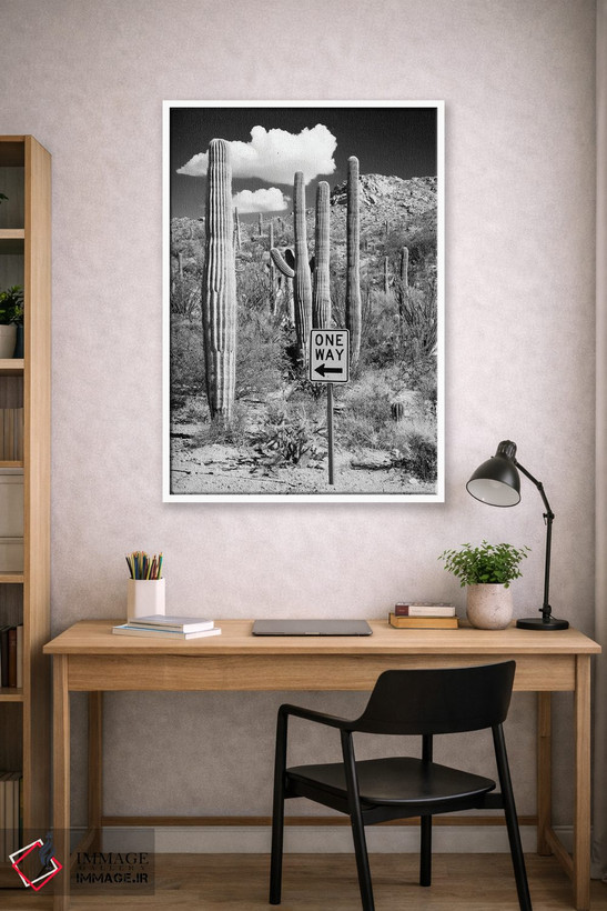 تابلو دکوراتیو "مجموعه سیاه آریزونا" اثر فیلیپ هوگونار - D1W