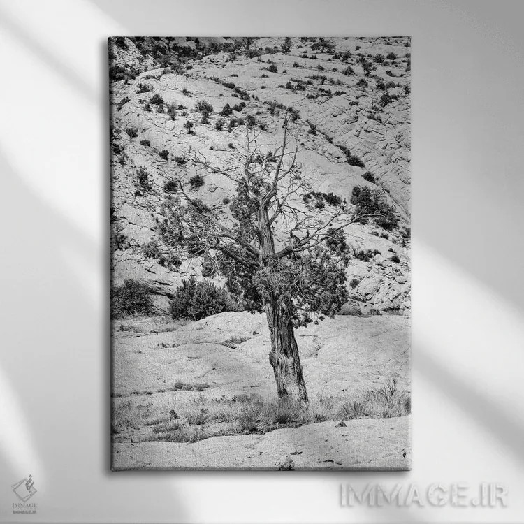 تابلو دکوراتیو "مجموعه سیاه آریزونا" اثر فیلیپ هوگونار - نمای روبهرو روی دیوار