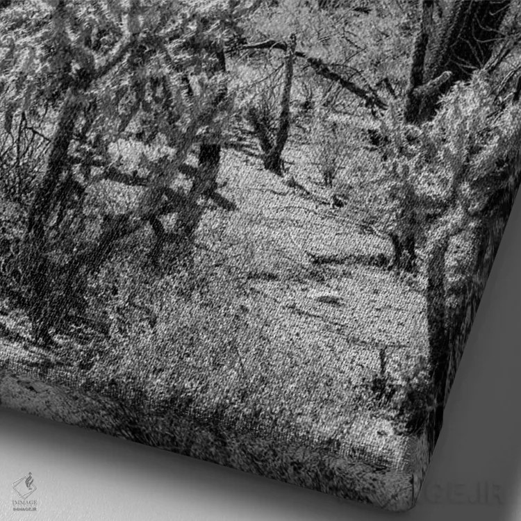 تابلو دکوراتیو "مجموعه سیاه آریزونا" اثر فیلیپ هوگونار - نمای نزدیک بافت بوم