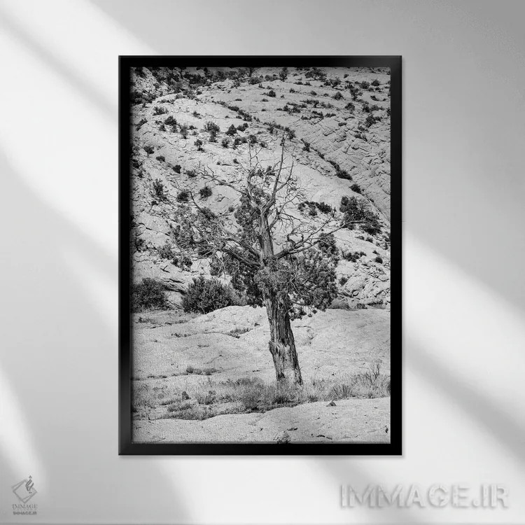 تابلو دکوراتیو "مجموعه سیاه آریزونا" اثر فیلیپ هوگونار - نمای قابدار مشکی