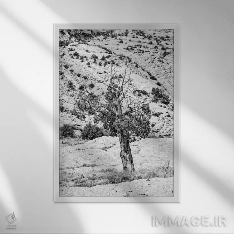 تابلو دکوراتیو "مجموعه سیاه آریزونا" اثر فیلیپ هوگونار - نمای قابدار سفید