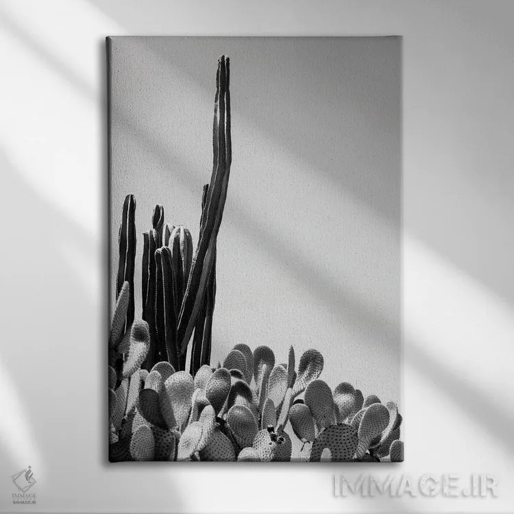 تابلو دکوراتیو "مجموعه سیاه آریزونا" اثر فیلیپ هوگونار - نمای روبهرو روی دیوار