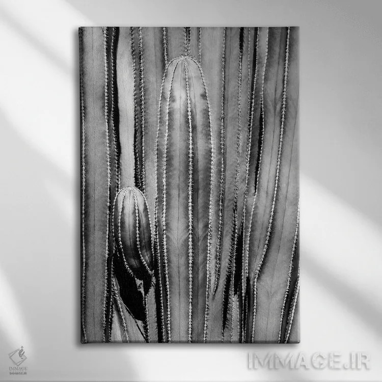 تابلو دکوراتیو "مجموعه سیاه آریزونا" اثر فیلیپ هوگونار - نمای روبهرو روی دیوار