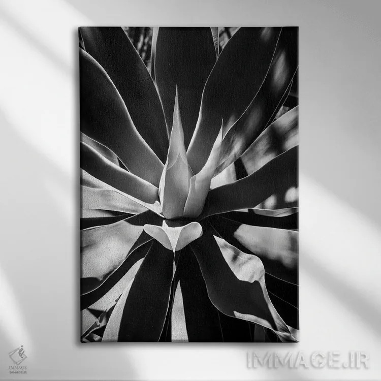 تابلو دکوراتیو "مجموعه سیاه آریزونا" اثر فیلیپ هوگونار - نمای روبهرو روی دیوار