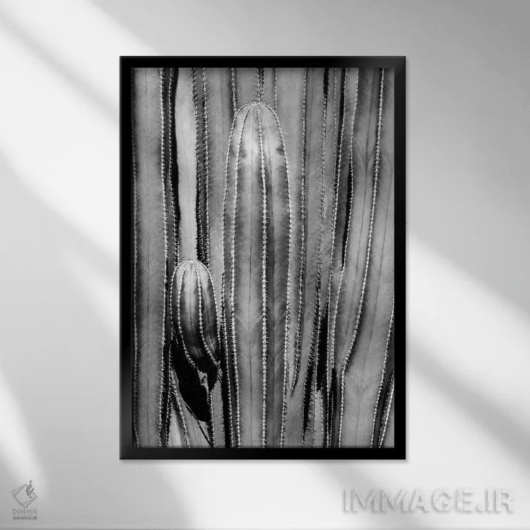 تابلو دکوراتیو "مجموعه سیاه آریزونا" اثر فیلیپ هوگونار - نمای قابدار مشکی