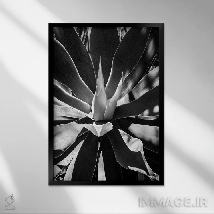 تابلو دکوراتیو "مجموعه سیاه آریزونا" اثر فیلیپ هوگونار - نمای قابدار مشکی