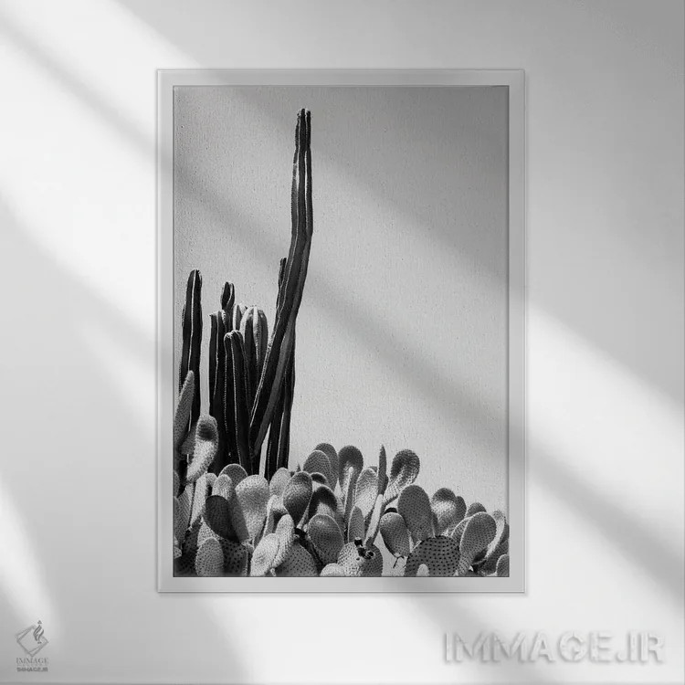 تابلو دکوراتیو "مجموعه سیاه آریزونا" اثر فیلیپ هوگونار - نمای قابدار سفید