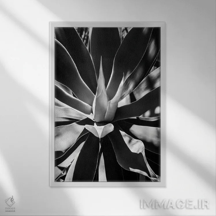 تابلو دکوراتیو "مجموعه سیاه آریزونا" اثر فیلیپ هوگونار - نمای قابدار سفید