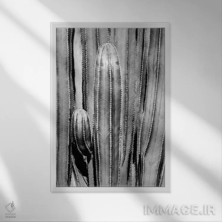 تابلو دکوراتیو "مجموعه سیاه آریزونا" اثر فیلیپ هوگونار - نمای قابدار سفید