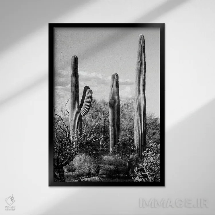 تابلو دکوراتیو "مجموعه سیاه آریزونا" اثر فیلیپ هوگونار - نمای قابدار مشکی
