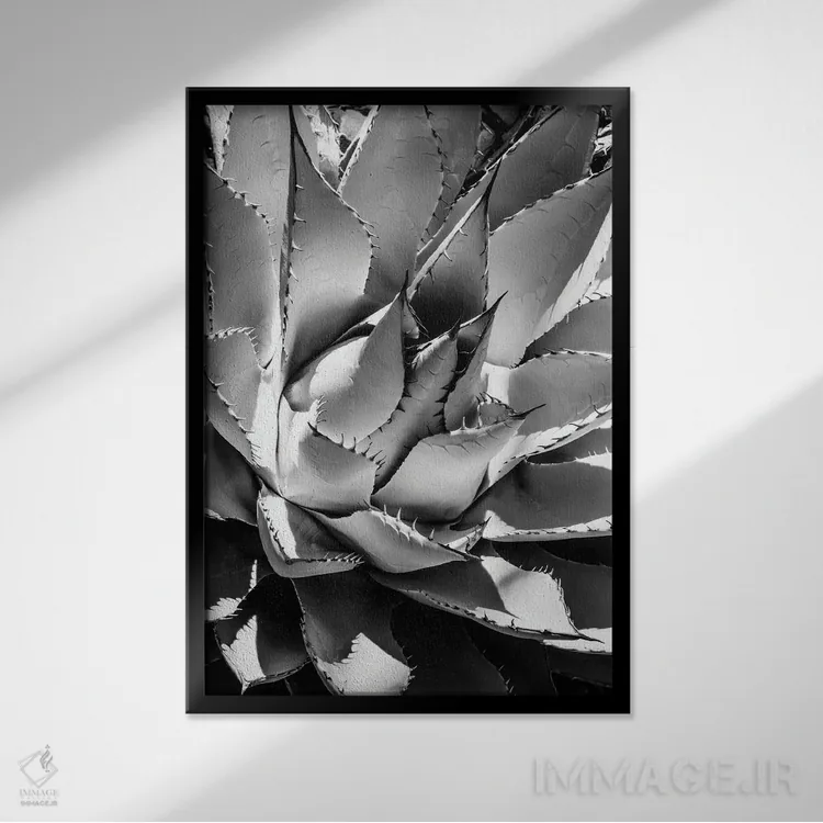 تابلو دکوراتیو سری سیاه آریزونا اثر فیلیپ هوگونار - نمای قابدار مشکی