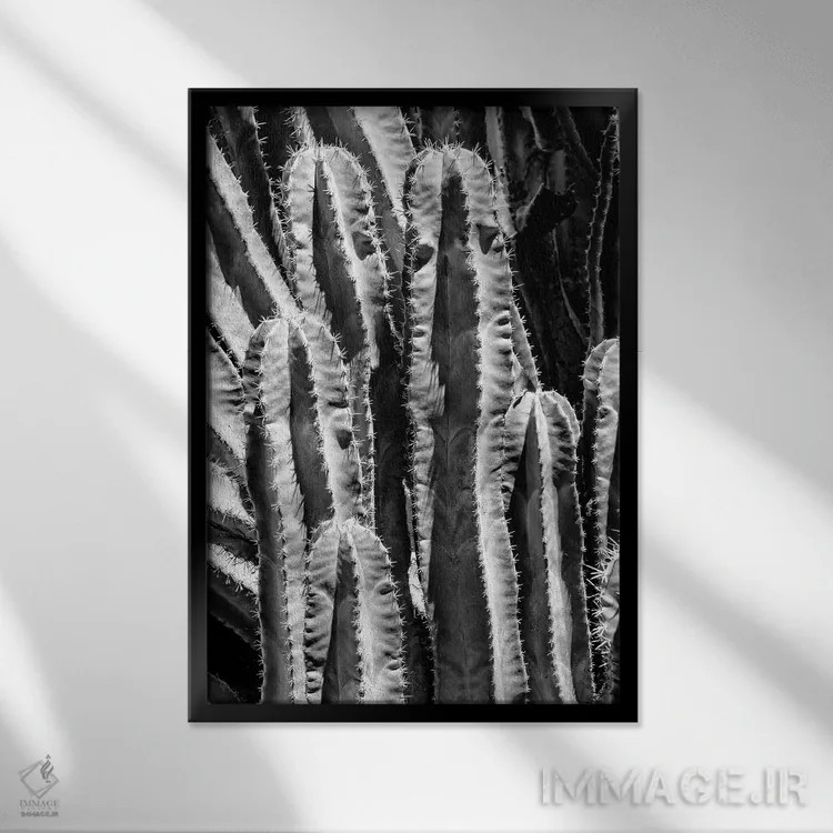 تابلو دکوراتیو سری سیاه آریزونا اثر فیلیپ هوگونار - نمای قابدار مشکی