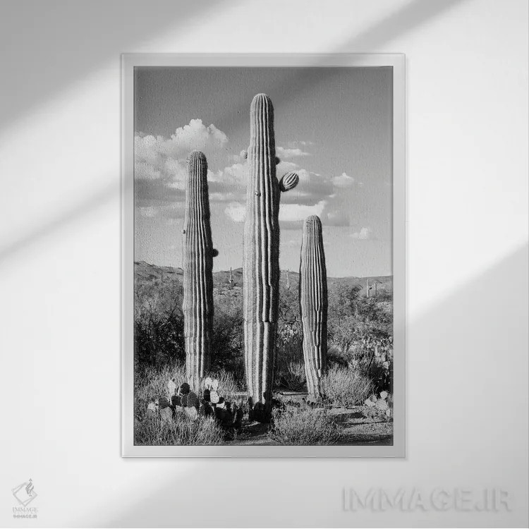 تابلو دکوراتیو سری سیاه آریزونا اثر فیلیپ هوگونار - نمای قابدار سفید